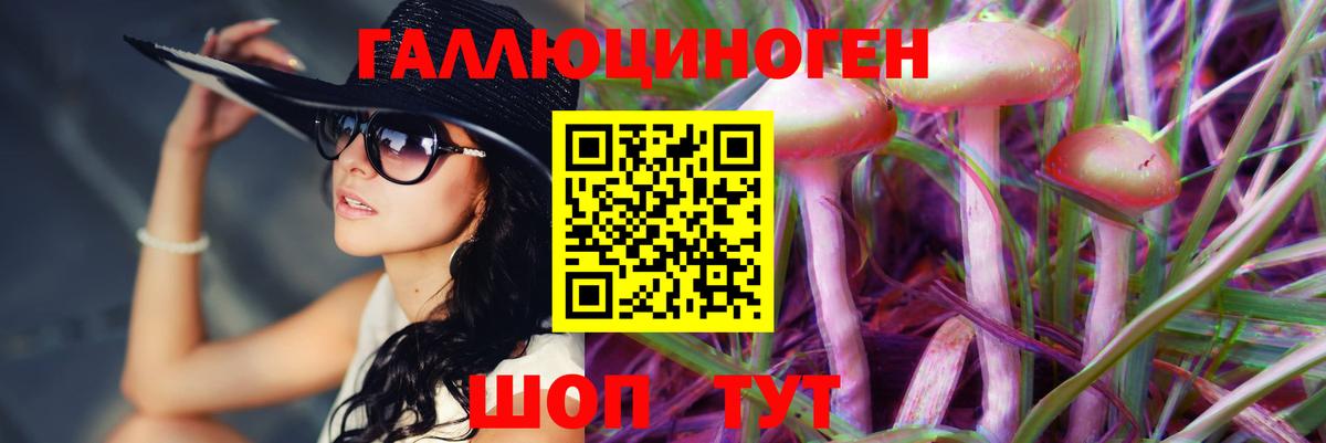 Псилоцибиновые грибы Psilocybe Усинск